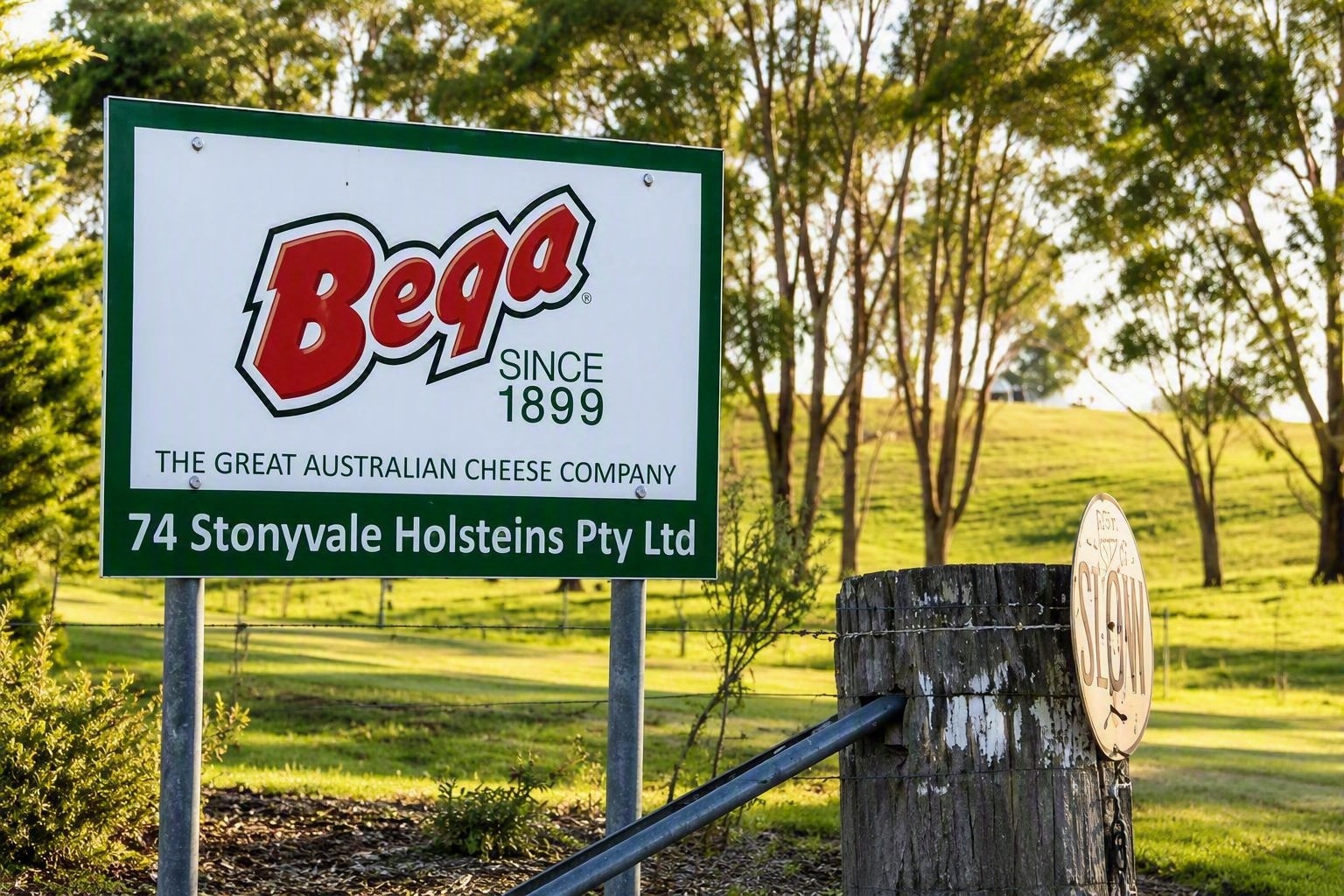 Bega Cheese High Res